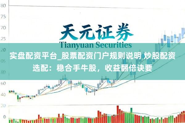 实盘配资平台_股票配资门户规则说明 炒股配资选配：稳合手牛股，收益翻倍诀要
